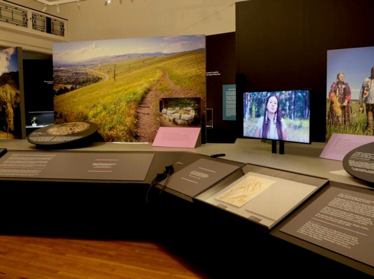 Several panels and photos are shown in the exhibit