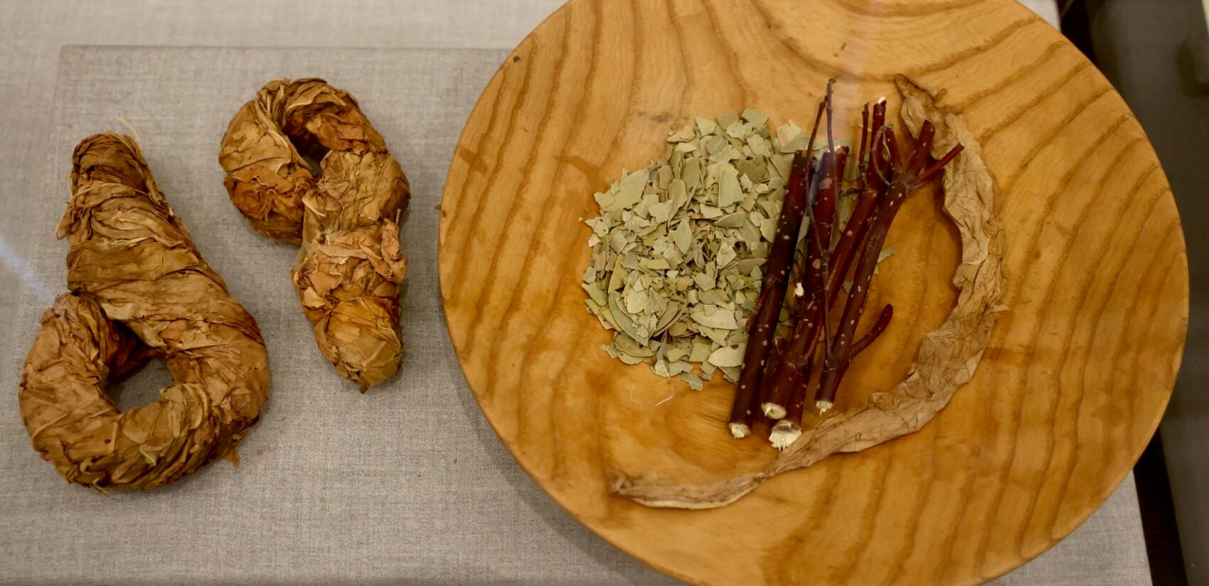 On a plate in the exhibit is samples of tobacco, kinnikinnick and bark from the red osier dogwood.