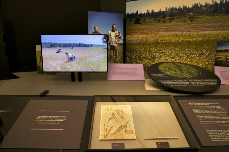 Large photos, and specimens on dispaly in the exhibit