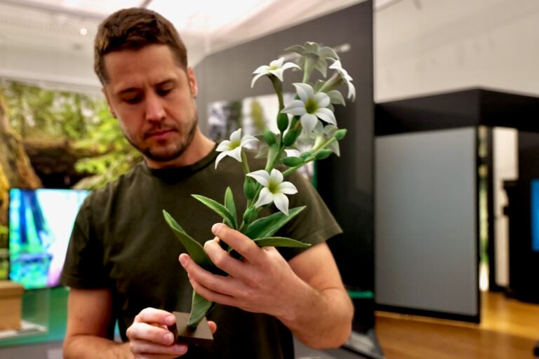 Tim Rusterholz is holding up and inspecting a 3-D printed plant