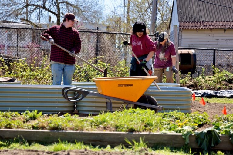 Three people work on plants outside in Delaware