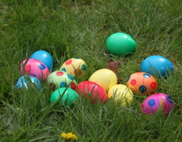 Colored eggs for Easter