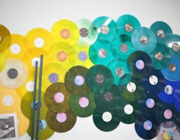 Hellbender-Vinyl-Philadelphia-10 yellow, green and blue records on a wall