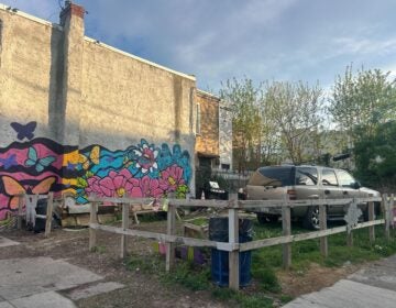 a side yard in Kensington