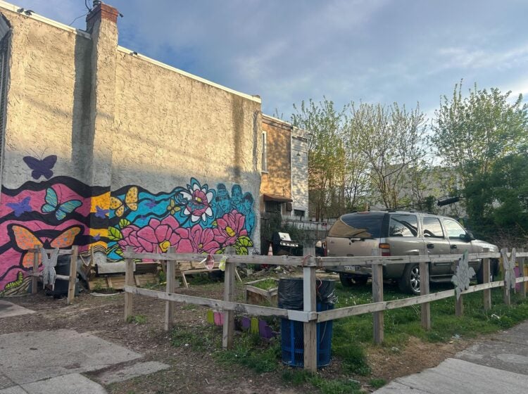 a side yard in Kensington