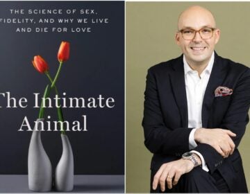 (photo credit: Anna Powell Denton)