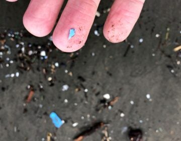 microplastic debris