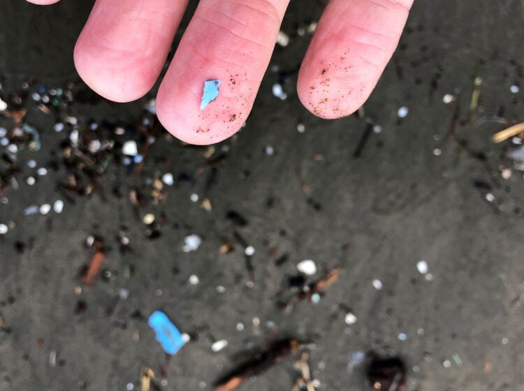 microplastic debris
