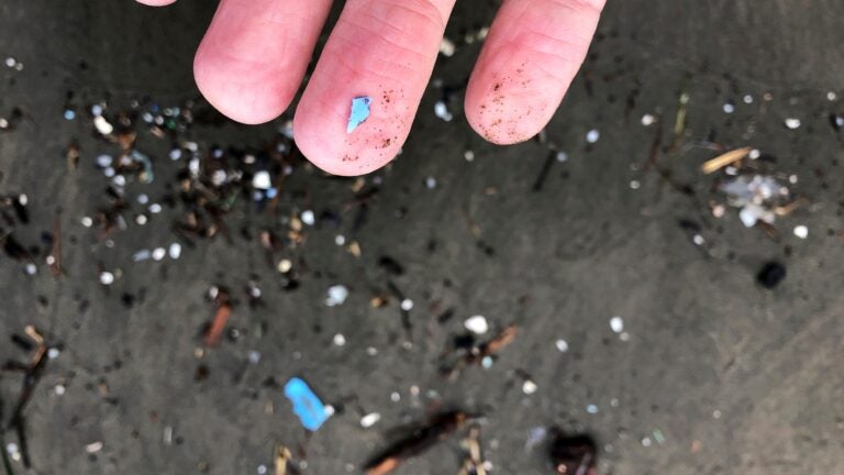 microplastic debris