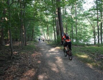 A cyclist rides his bike on an outdoor trail.