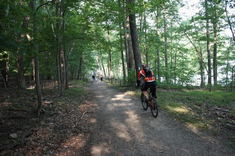 A cyclist rides his bike on an outdoor trail.