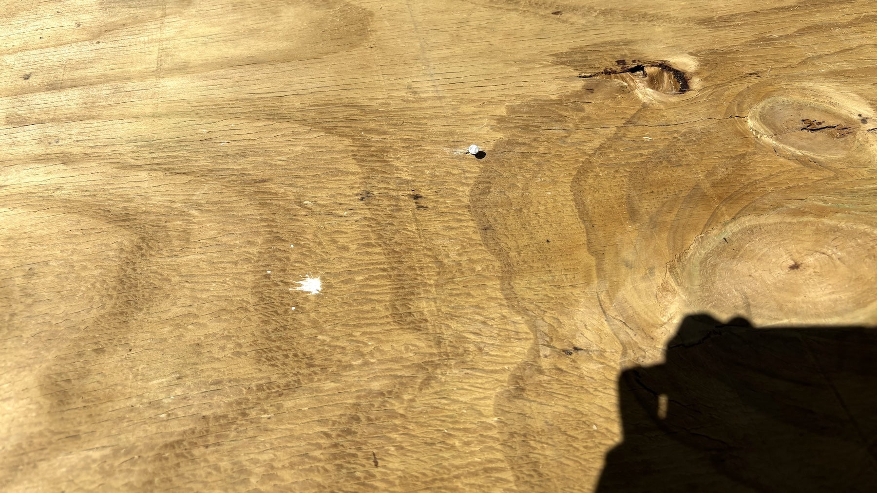 A nail sticking up from a wooden platform