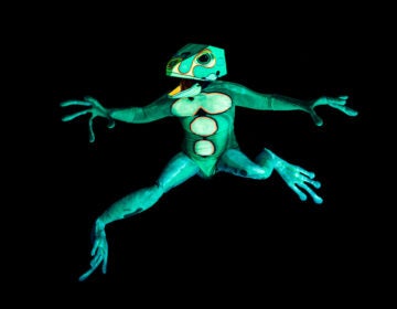 “Once Upon A Glow: Stories in the Blacklight