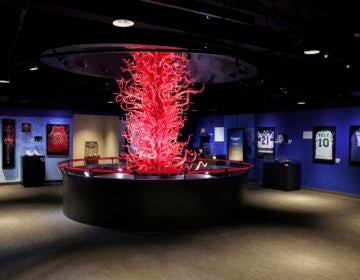 The National Liberty Museum exhibiting a collection of sports memorabilia