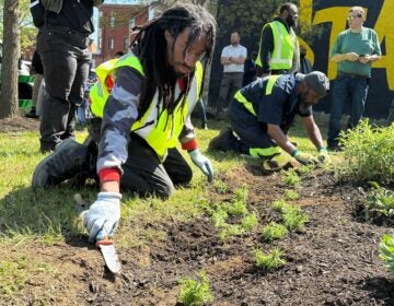 Workers are planting in the vacant lot.