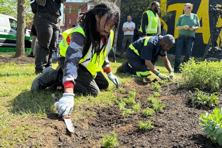 Workers are planting in the vacant lot.