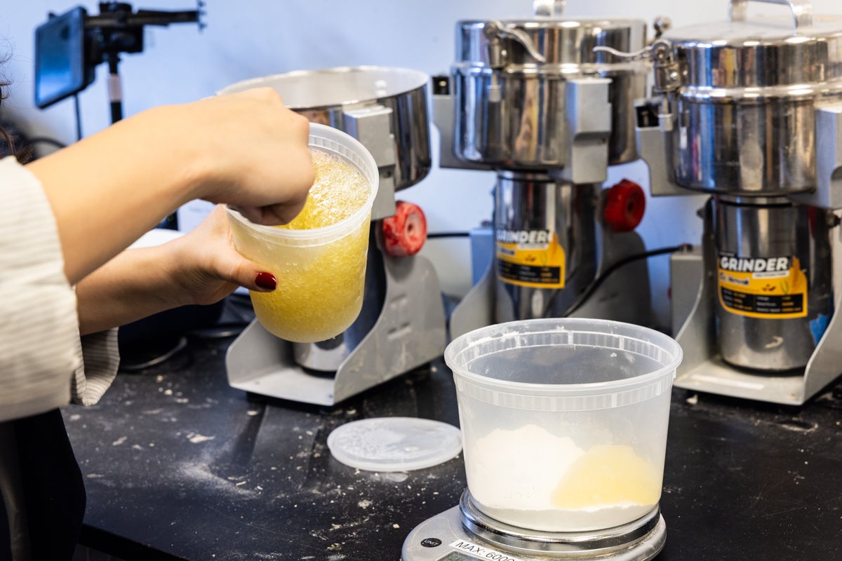 Shrimp shell material being added to eggshells in plastic containers