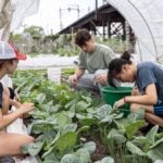 whyy.org - Susan Phillips - Penn researchers are turning food scraps into building materials