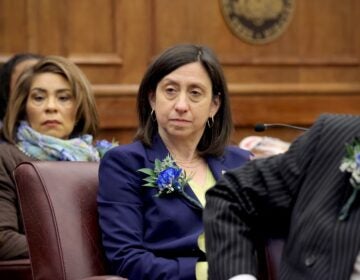 2025-01-23-e-lee-rue-landau-philadelphia-city-hall-council-chambers-fair-housing-file Rue Landau looks on