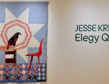 Elegyy Quilts on display at the Fabric Workshop exhibit