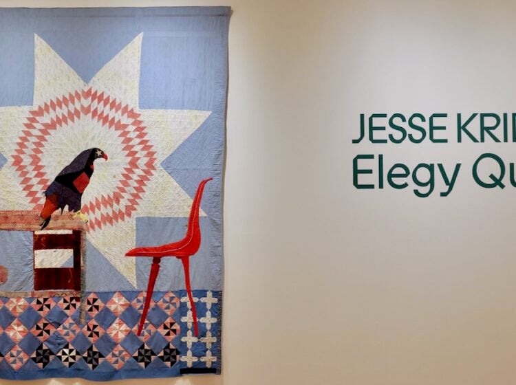 Elegyy Quilts on display at the Fabric Workshop exhibit