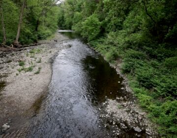 Wissahickon Creek in Wissahickon Valley Park