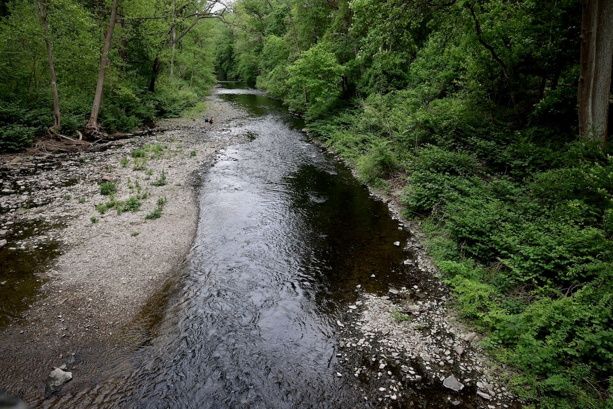 Wissahickon Creek in Wissahickon Valley Park