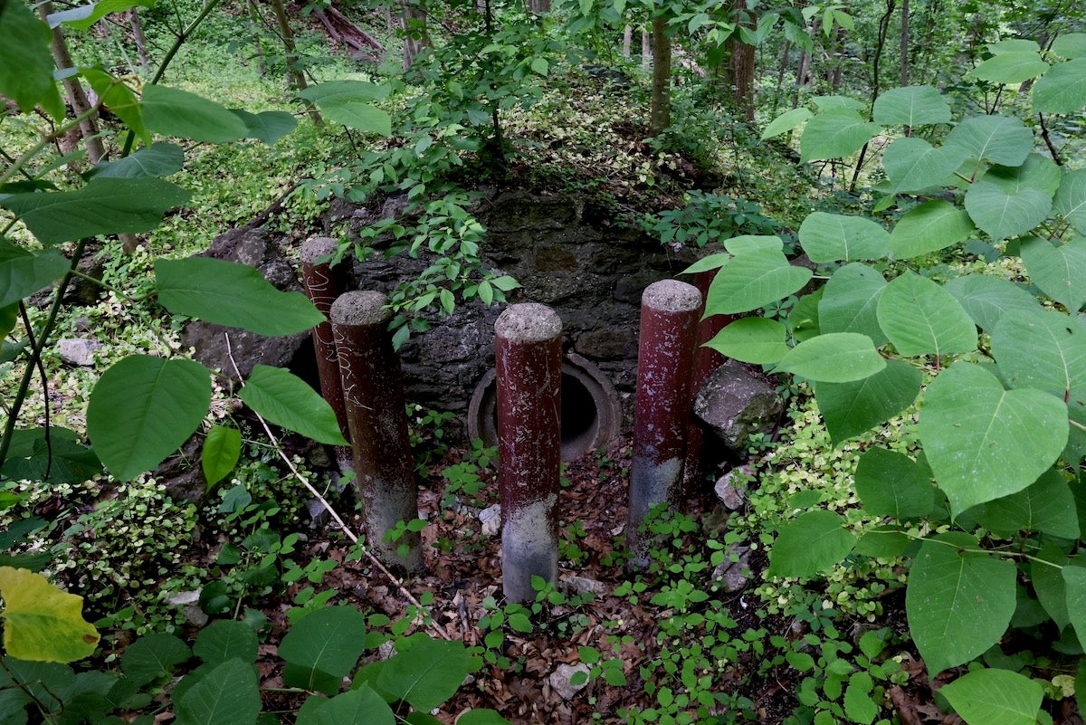 A drainage culvert protected by bollards at Wissahickon Valley Park