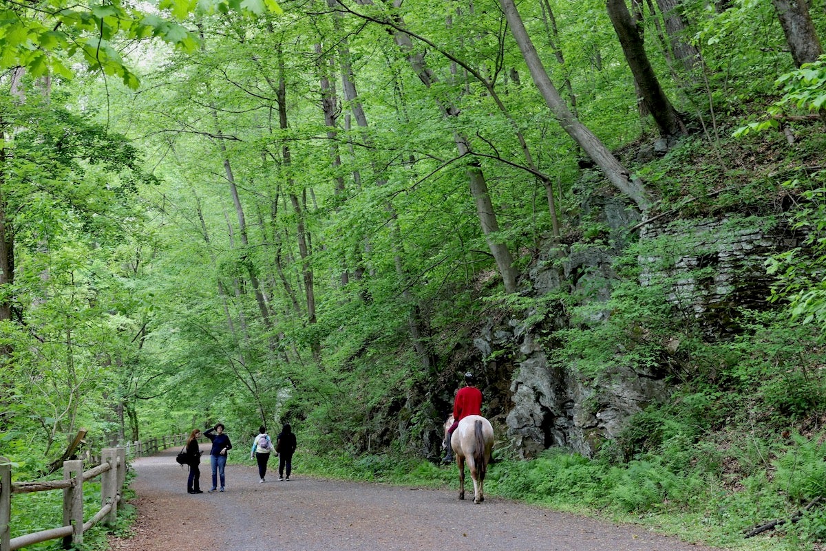Pedestrians, bicyclists and equestrians on Wissahickon Valley Park trials