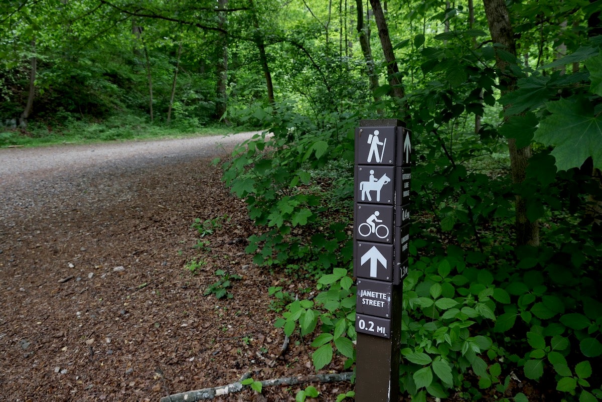Friends of the Wissahickon are studying ways to mitigate storm runoff along Forbidden Drive and seven access trails in the park. (Emma Lee/WHYY)