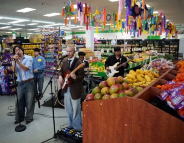Delaware Grocery Concerts Bilingual alternative pop band Luna Luna performs in the produce section of Fiesta Fresh Market in New Castle, Delaware