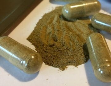 kratom capsules