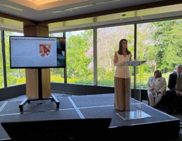 Claire Marrazzo Greenwood, executive vice president for economic growth with the Philadelphia Chamber of Commerce