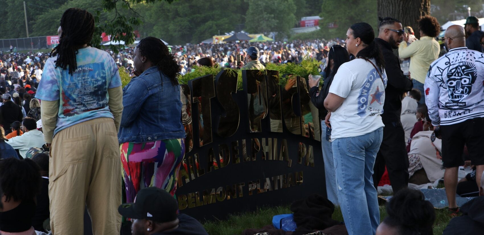 Roots Picnic attendees