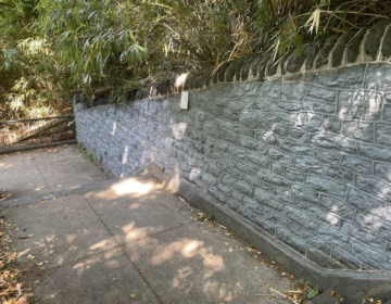 steps-2026-05-21 A rock wall next to a set of stairs outdoors