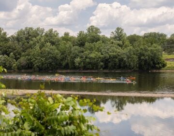 People in canoes on the river