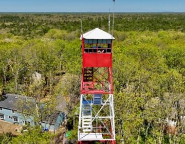 2026 04 27-e lee-brian gerber jr-medford nj fire tower-forest fire service tower The fire tower is seen in surrounded by trees.