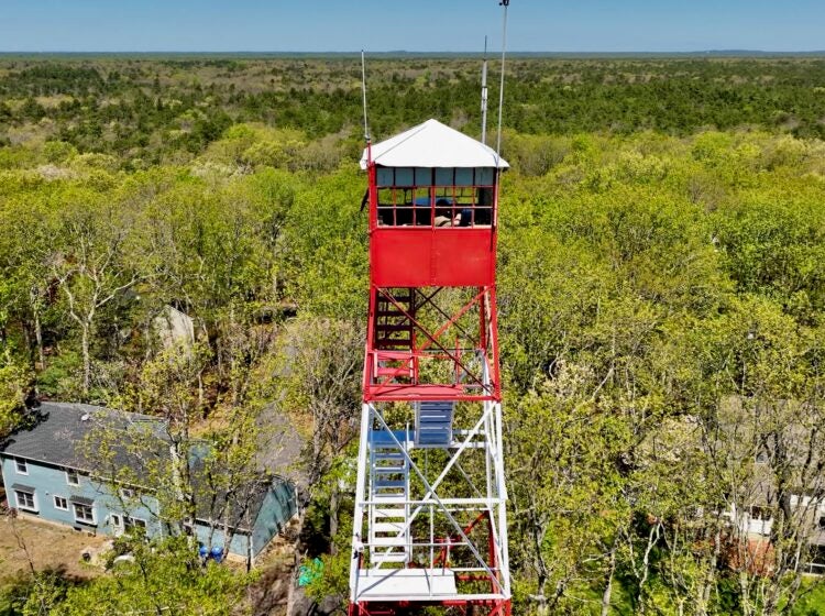 The fire tower is seen in surrounded by trees.