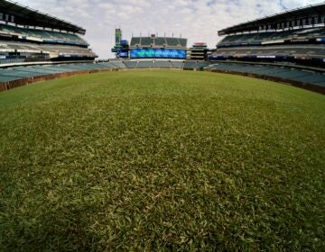 2026 05 13-e lee-philadelphia lincoln financial field-world cup grass wide angle a closeup view of the turf at the stadium