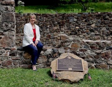 2026 05 26-e lee-karen christen-chester springs pa historic yellow springs-monument ruins revolutionary war military hospital dar marker regent Karen Christen poses for photo at ruins of American revolutionary war