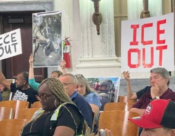 People sitting in the seats during a Trenton City Council hearing.