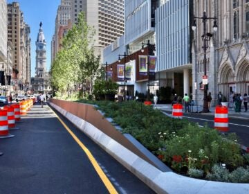 2026 06 24-e lee-philadelphia avenue of the arts-green median unveiling city hall A block of South Broad Street in Philadelphia, between Spruce and Pine streets, is seen with a raised median filled with plantings