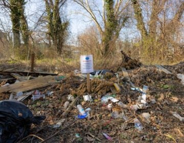 A vacant lot filled with trash.