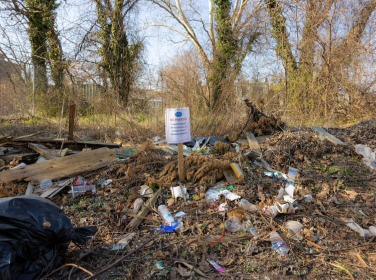 A vacant lot filled with trash.