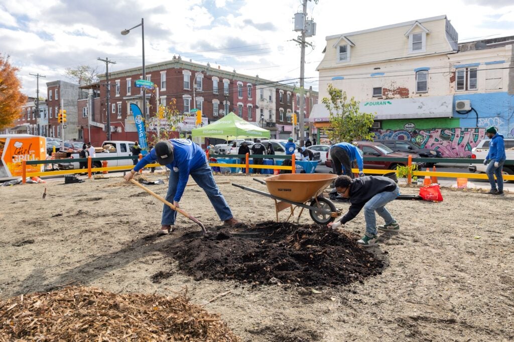 Greening a vacant lot in Philadelphia.