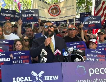 Larry Anastasi of IBEW local 614 speaks at a rally in Washington Square Park on June 25, 2025