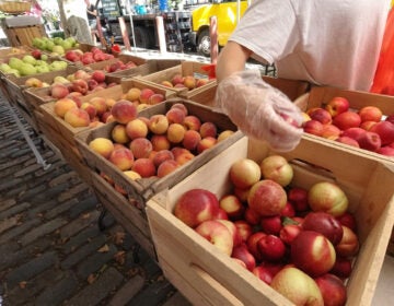 headhousefarmersmarket-coronavirus-01 Barrels filled with apples at the farmer's market