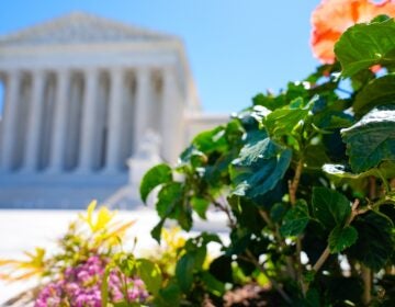 The Supreme Court building.