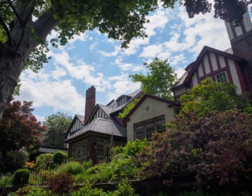 Early 20th-century Tudor-style homes rise