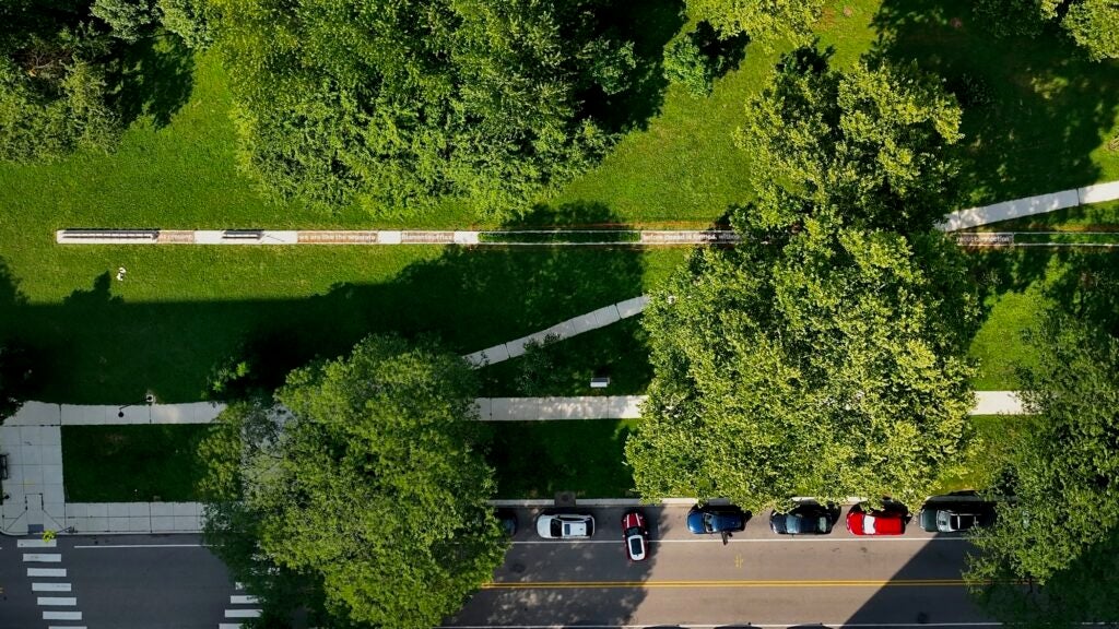 overhead photo of the installation
